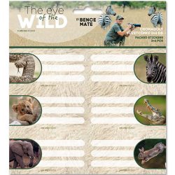   Ars Una: The Eye Of The Wild 2 Csomagolt Füzetcímke 3X6Db-os (Ars Una, 53831132)