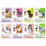 Kutyapark Társasjáték (Gémklub, LDG10013)