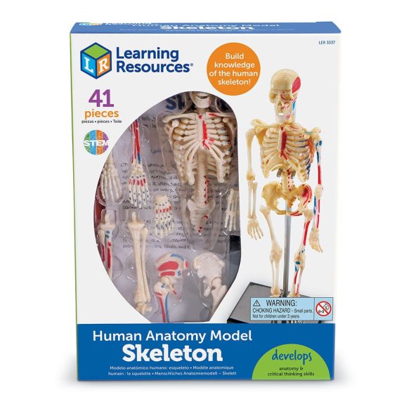 Biológai Modell Puzzle - Az Emberi Csontváz (Learning Resources, LER3337)