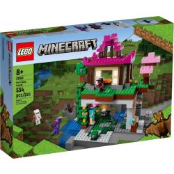 LEGO Minecraft - A gyakorlótér (Lego, 21183)