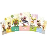 Piatnik Equinox - zöld doboz (Piatnik, 717895)