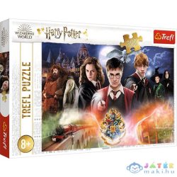 Trefl: Harry Potter Titka Puzzle - 300 Darabos (MH, 23001)